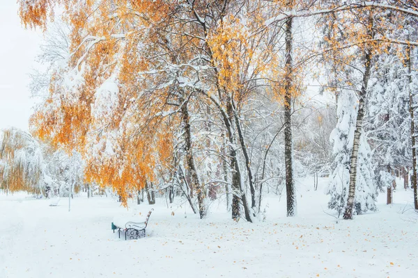 秋の紅葉と都市公園におけるベンチの雪に覆われた木 月の幻想的な日の間 ウクライナ ヨーロッパ — ストック写真