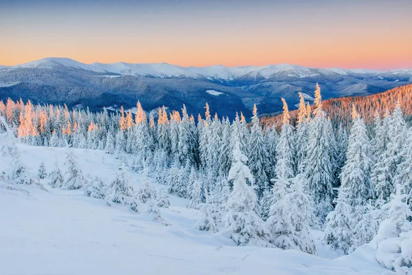 Fantastische Winterlandschap Magische Zonsondergang Bergen Een Ijzig Dag Aan Vooravond — Stockfoto