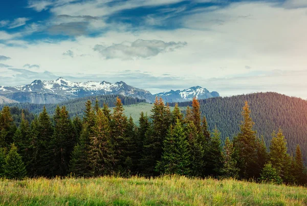 Beautiful Summer Mountain Landscape Blue Mountains Event Dramatic Scene Carpathian — Stock Photo, Image