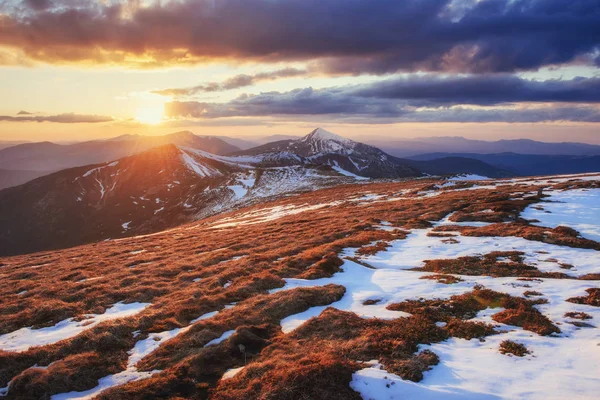 Kleurrijke Lente Zonsondergang Bergketens Het Nationaal Park Karpaten Oekraïne Europa — Stockfoto