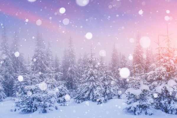 Mágico Paisaje Invierno Fondo Con Algunos Reflejos Suaves Copos Nieve — Foto de Stock