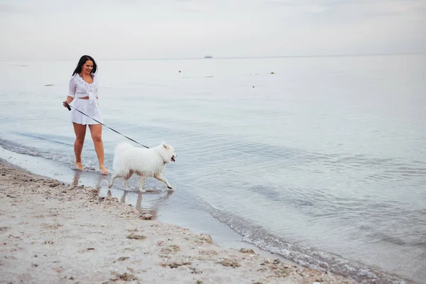 Yürüyen Bir Köpek Ile Sahilde Güzel Esmer Kadın — Stok fotoğraf