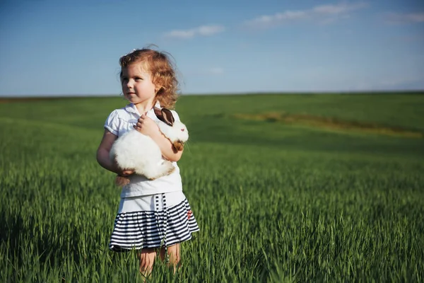 Kaninchenbaby Einem Feld Aus Grünem Weizen — Stockfoto