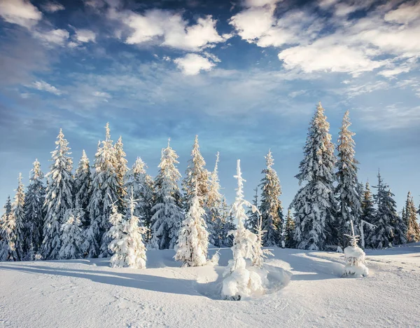 Geheimnisvolle Winterlandschaft Majestätische Berge Winter Magischen Winter Schneebedeckten Baum Dramatische — Stockfoto