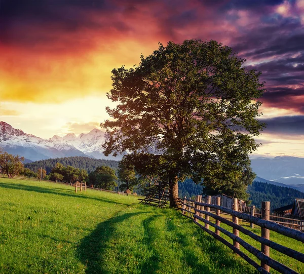 Weitwinkelblick Auf Einen Holzzaun Unter Blauem Himmel Mit Einer Schönen — Stockfoto