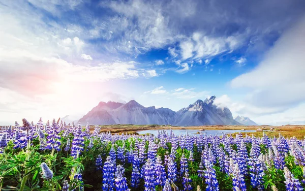 Schilderachtig Uitzicht Rivier Bergen Ijsland — Stockfoto