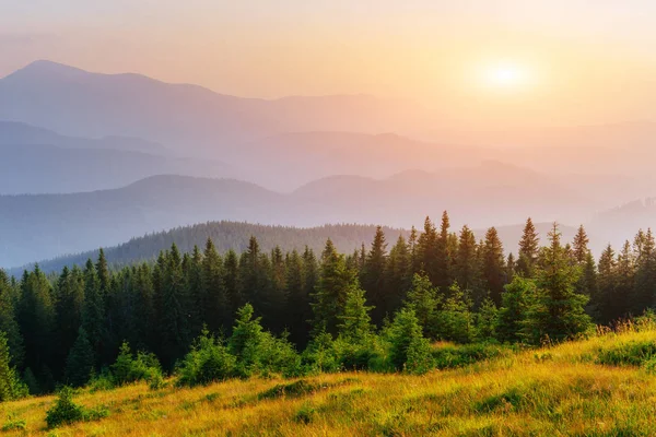 Ein Fantastischer Nebliger Tag Und Helle Hügel Sonnenlicht Dramatische Morgenlandschaft — Stockfoto