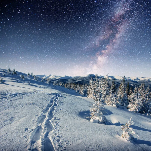 Cielo Stellato Nella Notte Nevosa Invernale Fantastica Lattea Capodanno — Foto Stock