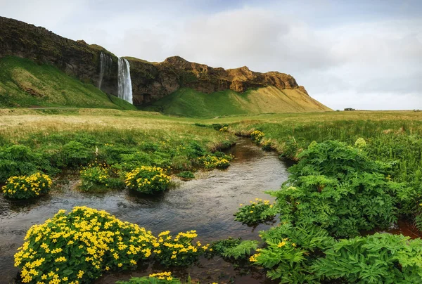 Seljalandfoss 美丽的夏日阳光明媚的一天冰岛欧洲 — 图库照片
