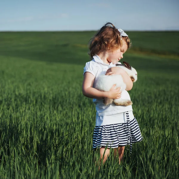 Baby Konijn Een Veld Van Groene Tarwe — Stockfoto