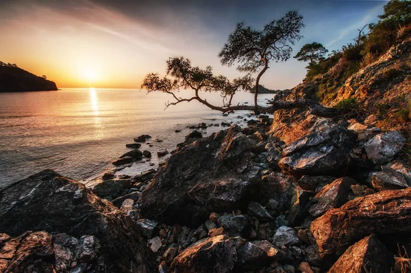 梦幻般的全景的海岩石海岸在傍晚日落 土耳其 — 图库照片