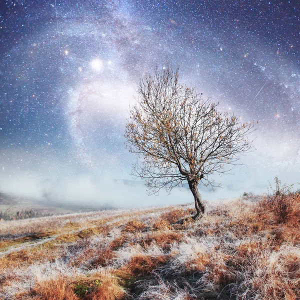 Fantastik Bir Yıldızlı Gece Gökyüzü Samanyolu Altında Dağlarda Kış Günlerinde — Stok fotoğraf