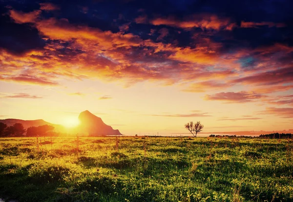 Kleurrijke Sky Bij Zonsondergang Bergen Fantastische Cumulus Wolken Karpaten Oekraïne — Stockfoto