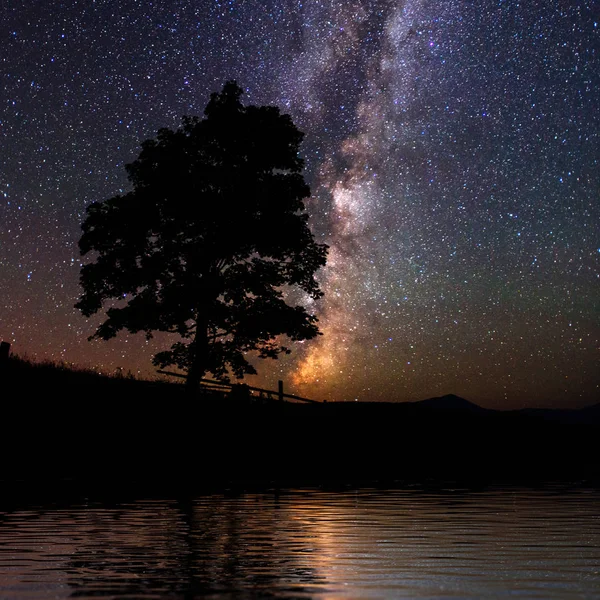 Starry sky over the sea. Fantastic Milky Way. Meteor shower. Carpathians. Ukraine, Europe