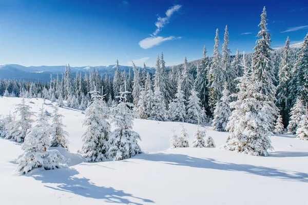 Misterioso Paesaggio Invernale Maestose Montagne Inverno Previsione Della Vacanza Drammatica — Foto Stock