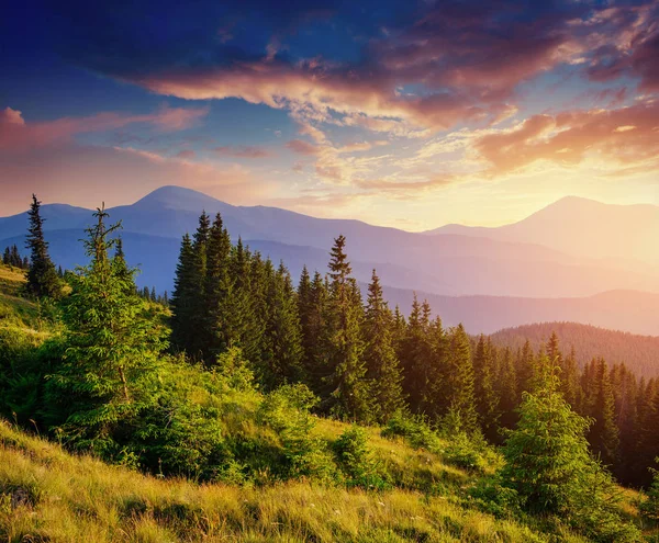 Hermoso Paisaje Montaña Verano Color Azul Las Montañas Durante Puesta — Foto de Stock