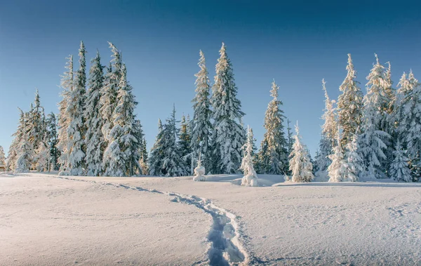 Paesaggio Invernale Fantastico Passi Qualcosa Che Conduce Montagna Gelida Giornata — Foto Stock