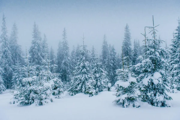 Misterioso Paisaje Invernal Majestuosas Montañas Invierno Previsión Las Vacaciones Escena — Foto de Stock