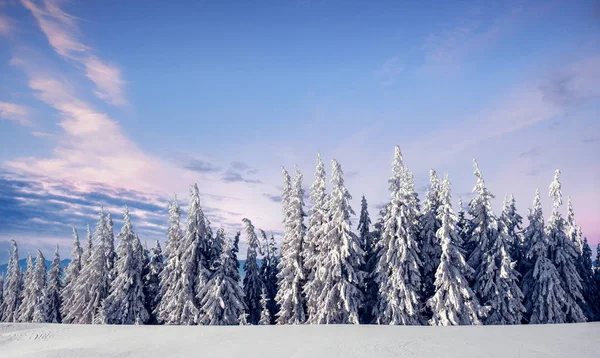 Misterioso Paisaje Invernal Majestuosas Montañas Invierno Árbol Mágico Cubierto Nieve —  Fotos de Stock