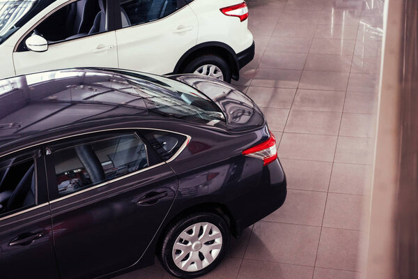 of the car in the spacious showroom with large windows.