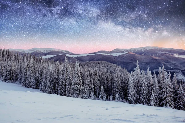 starry sky in winter snowy night. fantastic milky way in the New Year\'s Eve. Starry sky snowy winter night. The Milky Way is a fantastic New Year\'s Eve.