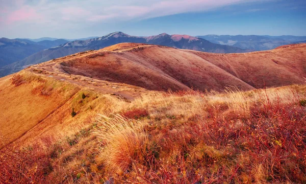 Herbstgasse Schönheitswelt Karpaten Ukraine Europa — Stockfoto