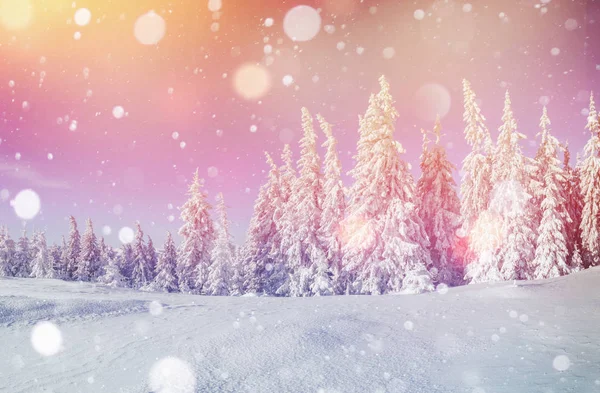 Magiska Vinterlandskapet Bakgrund Med Några Mjuka Höjdpunkter Och Snö Flingor — Stockfoto