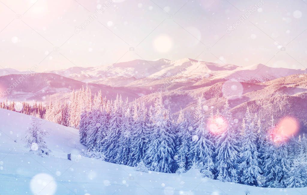 Mysterious winter landscape majestic mountains in winter. Magical winter snow covered tree. Photo greeting card. Bokeh light effect, soft filter. Carpathian. Ukraine. Europe