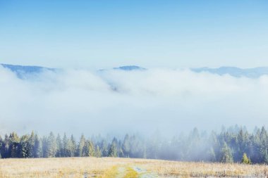 Kış manzarası güneş parlıyor. Dramatik sahne. Doğal sis. Ekim sıradağlarının ilk kış günlerinde. Karpat, Ukrayna, Europe.