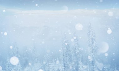 Gizemli kış manzara görkemli dağlar kış. Güzel kalın sis. Sihirli kış kar kaplı ağaç. Fotoğraf kartı. ışık efekti bokeh, yumuşak filtre. Karpat. Ukrayna. Europe