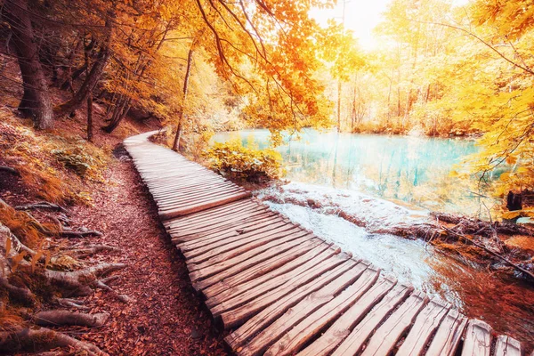 Знаменитый Национальный Парк Плитвицкие Озера Хорватия Европа Яркая Осенняя Сцена — стоковое фото