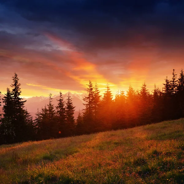 Mooie Zomerse Berglandschap Blauwe Kleur Van Bergen Tijdens Zonsondergang Dramatische — Stockfoto