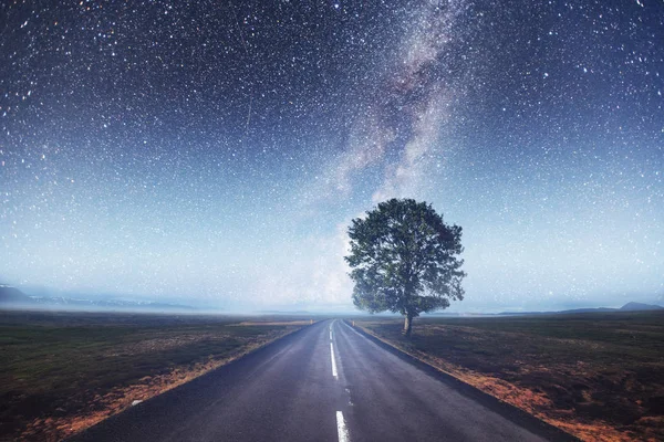 Camino Asfalto Árbol Solitario Bajo Cielo Nocturno Estrellado Vía Láctea —  Fotos de Stock
