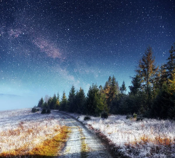 Dairy Star Trek Winter Woods Dramatic Picturesque Scene Winter Road — Stock Photo, Image