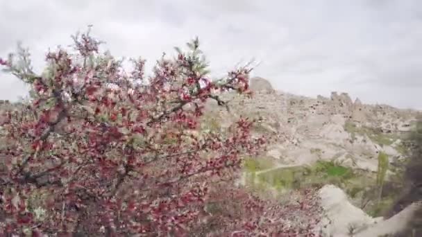 Uçan balon Kapadokya Türkiye üzerinden. Kapadokya Göreme Milli Parkı'nda volkanik dağlar arasında yer alan vadiler, boğaz, hills, — Stok video