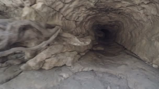 Stone cave inside. view near the entrance — Stock Video