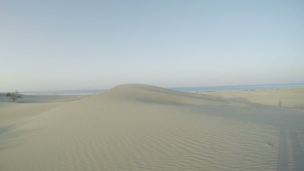 Zand in de woestijn — Stockvideo