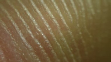 insan derisi desenler bakmak yukarıya kapatmak.