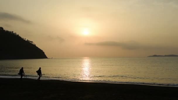 金滩活动。海滩上的金色日落。岛上的夏天 — 图库视频影像