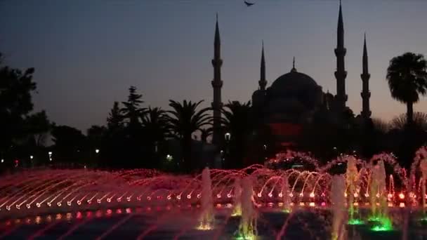 Mesquita azul iluminada Sultão Ahmed Mesquita antes do nascer do sol, Vista da fonte da noite. Istambul, Turquia — Vídeo de Stock