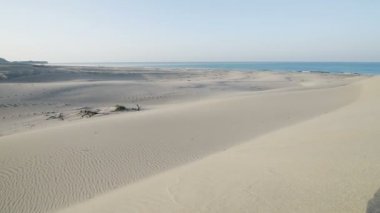 Çölde kum, kum tepeleri Türk Deniz kıyısında
