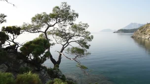Picturesque Mediterranean Sea cape in Turkey — стокове відео