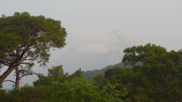Klippiga bergstoppar ovan molnen morgondimman — Stockvideo