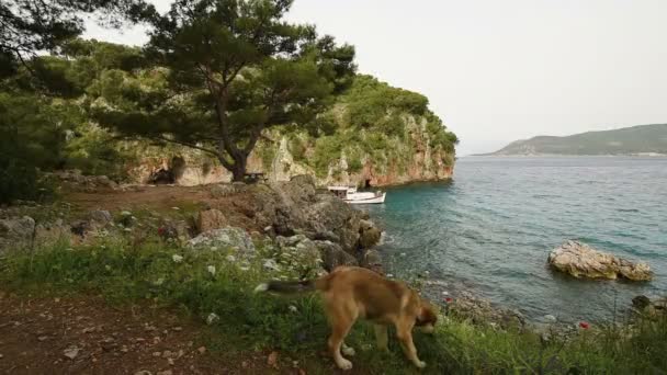 Γραφική Θέα Από Σκάφη Στη Θάλασσα Τουρκία — Αρχείο Βίντεο
