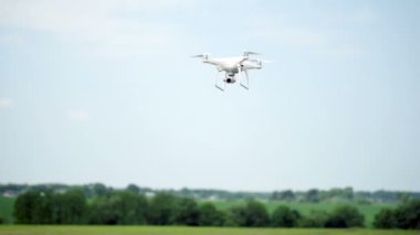 Modern quadcopter kamera uçar ve genç Mısır dikim alanı üzerinde ölçümler yapmak