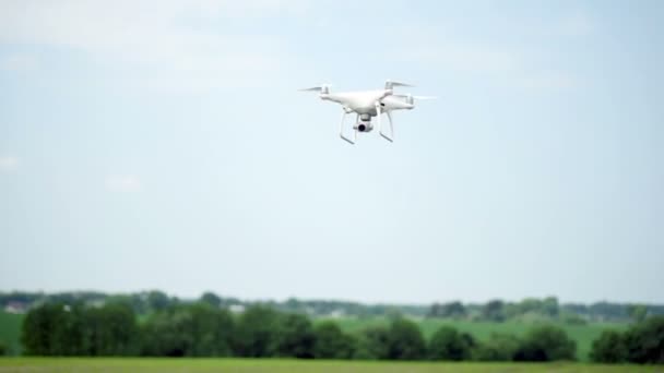 Modern quadcopter camera flies and make measurements over a field of young corn planting — Stock Video