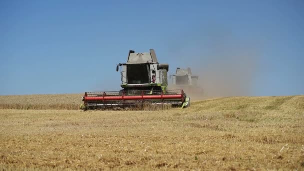 TERNOPIL - JULHO 20: Colheita de trigo, ceifeiras-debulhadoras trabalhando no campo de trigo em 20 de julho de 2017, em Ternopil — Vídeo de Stock