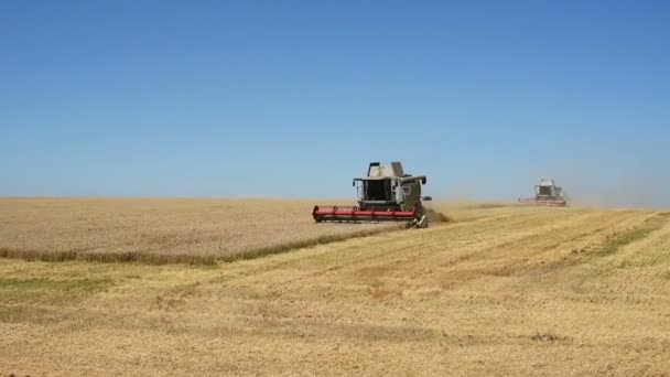 TERNOPIL - JULHO 20: Colheita de trigo, ceifeiras-debulhadoras trabalhando no campo de trigo em 20 de julho de 2017, em Ternopil — Vídeo de Stock