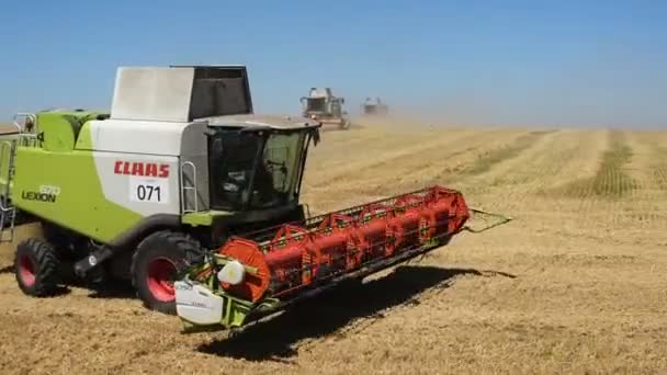 TERNOPIL - 20 LUGLIO: Raccolta del grano, mietitrebbie che lavorano sul campo di grano il 20 luglio 2017, a Ternopil — Video Stock