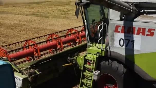 TERNOPIL - 20 LUGLIO: Raccolta del grano, mietitrebbie che lavorano sul campo di grano il 20 luglio 2017, a Ternopil — Video Stock